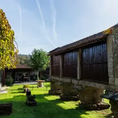 Un hórreo tradicional gallego, parte de la carballeira do Tambre, se alza sobre pilares de piedra. El sol ilumina el césped verde y un árbol frondoso.