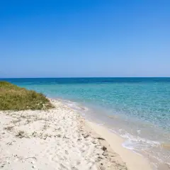 Arena blanca y aguas cristalinas en la playa Borna, con vegetación verde y un cielo azul intenso.