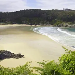 Paisaje de las calas de Lugo: playa dorada, mar turquesa y bosque frondoso.