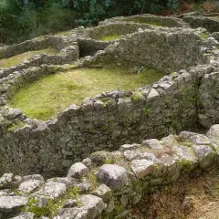Ruinas circulares de piedra cubiertas de musgo y hierba en el **castro de Troña**, con vegetación verde al fondo.