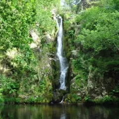 La cascada Viveiro desciende por rocas cubiertas de musgo y vegetación exuberante, desembocando en un estanque sereno.