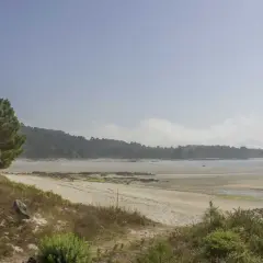 Amplia vista de la playa de Bornalle con arena dorada, vegetación y el mar al fondo bajo un cielo nublado.