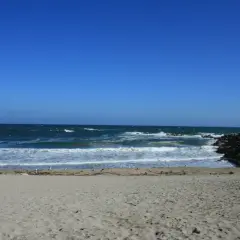 Arena dorada, mar azul y olas rompiendo en esta playa marosa. Gaviotas pasean tranquilas.