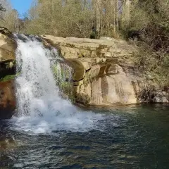 Cascada de agua blanca cayendo sobre rocas, formando pozas de melón en el río. Vegetación frondosa y árboles secos rodean el paisaje.