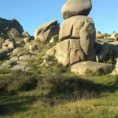 Un moa monte pindo, con rocas gigantes apiladas y vegetación verde bajo un cielo azul claro.
