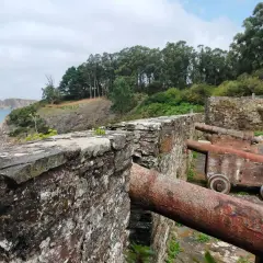 Antiguos cañones apuntan al mar desde el **castillo de la Concepción Cedeira**, rodeado de vegetación y con vistas a la costa.