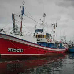 El barco museo de Burela, el "Reina del Carmen", luce su rojo y blanco vibrantes junto a otros pesqueros en un día nublado.