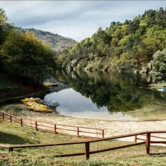 Playa fluvial a Calzada con kayaks amarillos esperando en la arena, rodeada de árboles verdes y un río tranquilo.