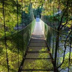 Un puente colgante de Noia se adentra en un bosque frondoso, con el agua reflejando la luz entre los árboles.