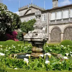 Jardín del Pazo de Oca con fuente de piedra y calas blancas, rodeado de setos y un gran rododendro en flor.