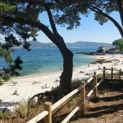 Disfruta del sol en la playa de los olmos vigo, con arena blanca, aguas cristalinas y gente relajándose bajo los pinos.
