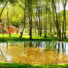 Un estanque circular refleja los árboles en un parque con un área de juegos y mesas al aire libre. Un lugar perfecto para un paseo tranquilo.