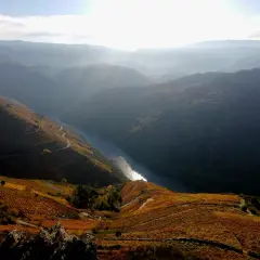 Vistas impresionantes desde el mirador Pena do Castelo, con un río serpenteante y viñedos otoñales dorados.