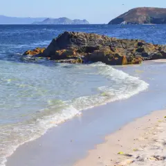 Aguas cristalinas acarician las **islas de Ons playas** de arena dorada. Rocas oscuras emergen del mar azul, mientras gaviotas planean en el cielo despejado.