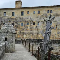 Camino de piedra hacia la fortaleza de Baiona, con una garita y un árbol seco.