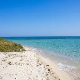 Arena blanca y aguas cristalinas en la playa Borna, con vegetación verde y un cielo azul intenso.