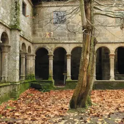 Claustro de piedra cubierto de musgo, con arcos y columnas, rodeado de hojas secas. Un árbol solitario se alza en primer plano, evocando la atmósfera de los monasterios de Galicia.