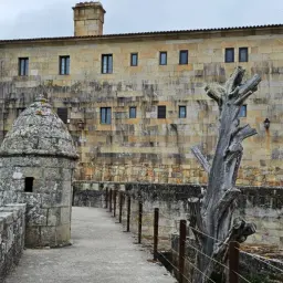 Camino de piedra hacia la fortaleza de Baiona, con una garita y un árbol seco.