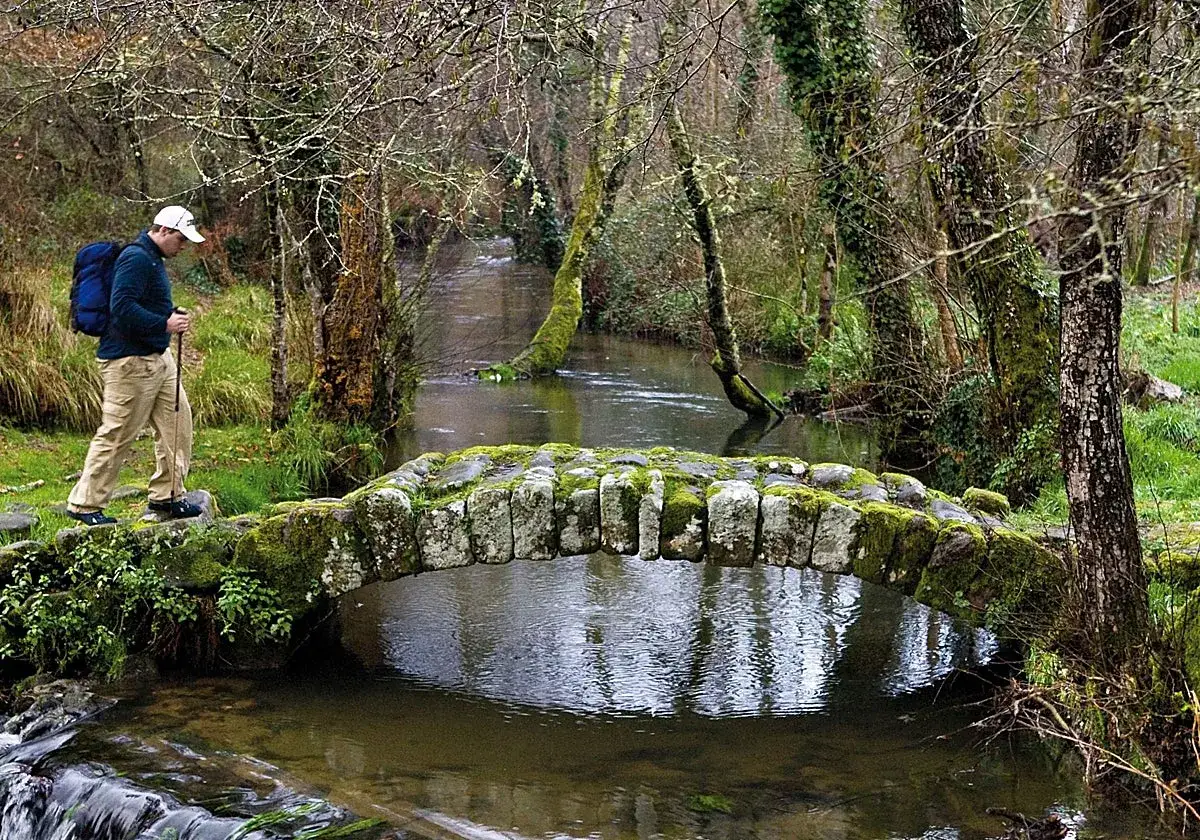 Senderista cruza un puente de piedra cubierto de musgo sobre uno de los pintorescos ríos de Galicia, rodeado de árboles frondosos.