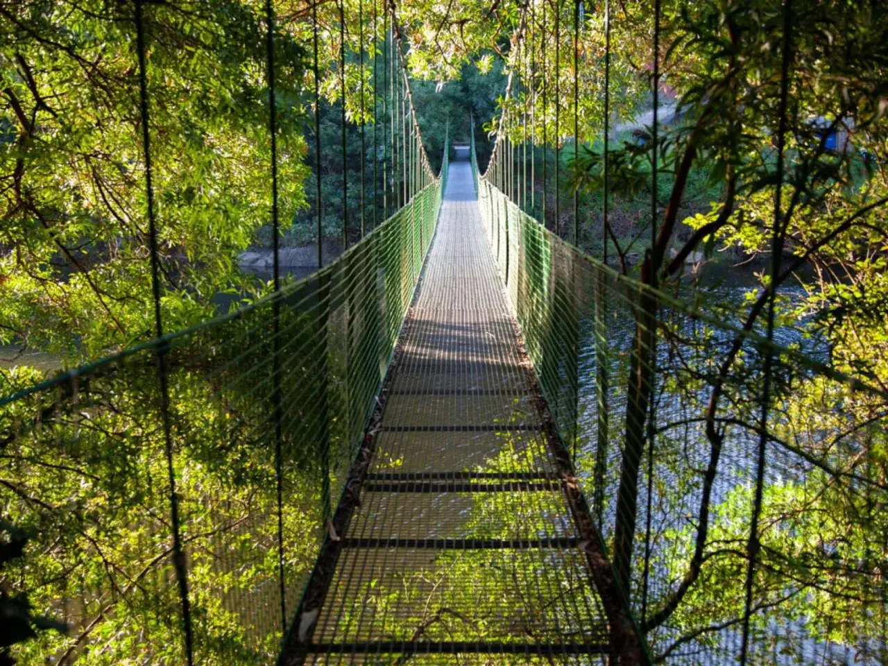 Un puente colgante en Noia, rodeado de exuberante vegetación y con el agua reflejando la luz del sol.