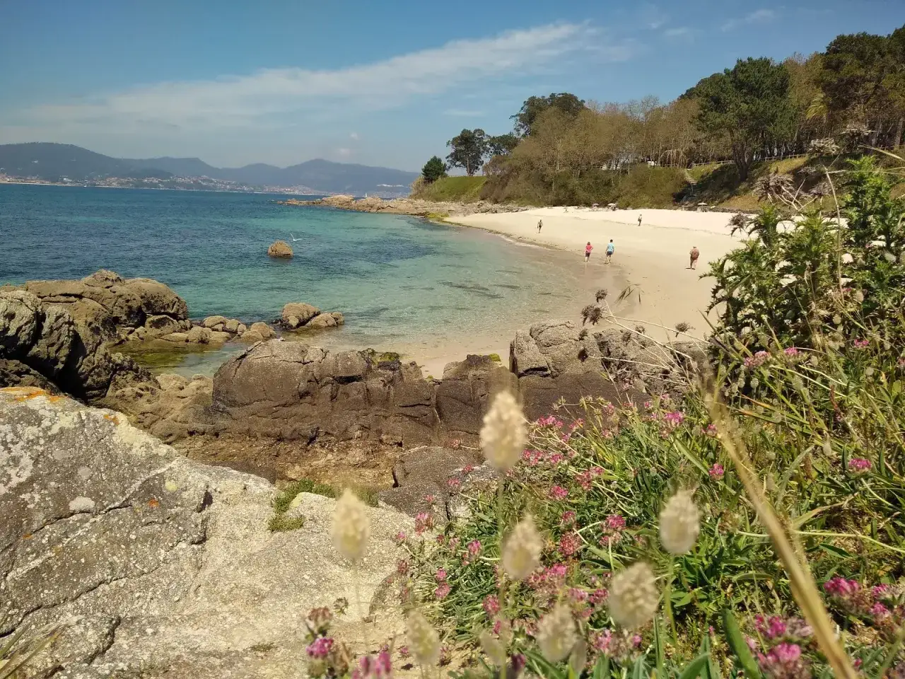 Praia do Tombo do Gato, con aguas cristalinas y arena dorada, invita a pasear. Rocas y flores silvestres en primer plano.