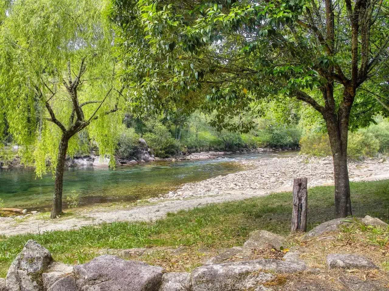 Un tranquilo río fluye junto a la playa fluvial Fornelos de Montes, rodeada de árboles frondosos y rocas.